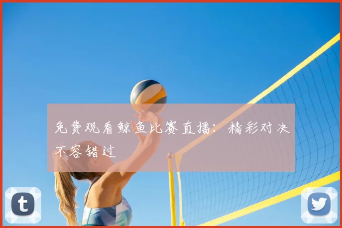 免费观看鲸鱼比赛直播：精彩对决不容错过