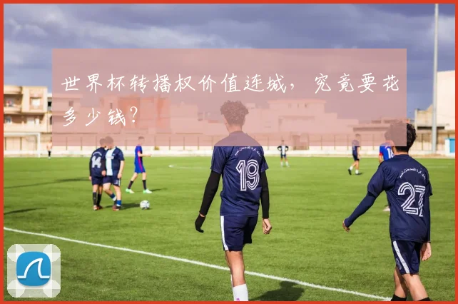 世界杯转播权价值连城，究竟要花多少钱？
