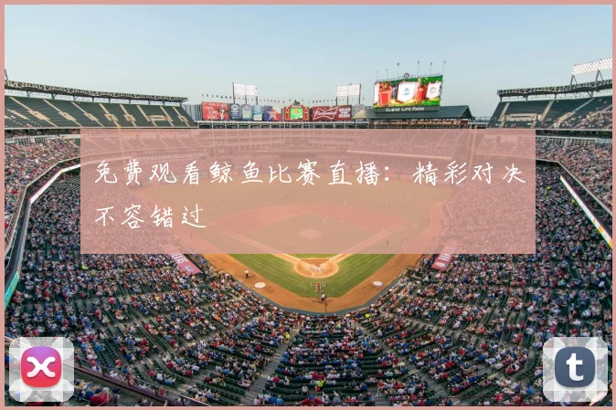 免费观看鲸鱼比赛直播：精彩对决不容错过